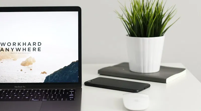 Build a Winning Content Marketing Strategy